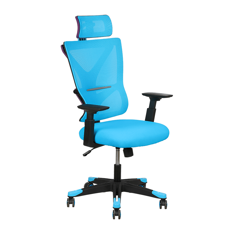 Blue Comfortable Narrow Waist Design Aesthetics Mesh Chair With Double Y-Shaped
