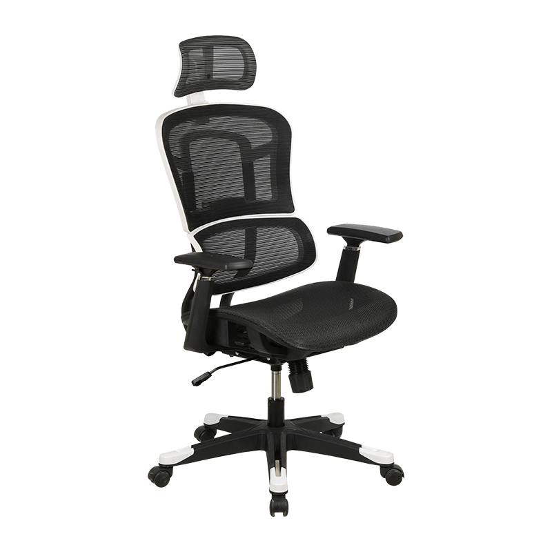 Detachable Lumbar Back Separation Office Chair Strong Lumbar Support Mesh Chair With White Frame